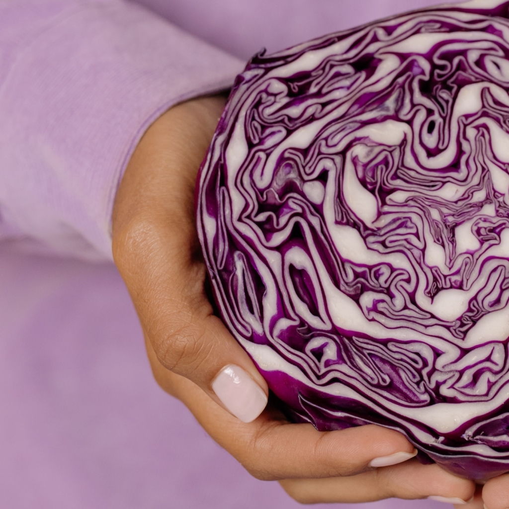 Purple Cabbage, Just Another Cabbage?